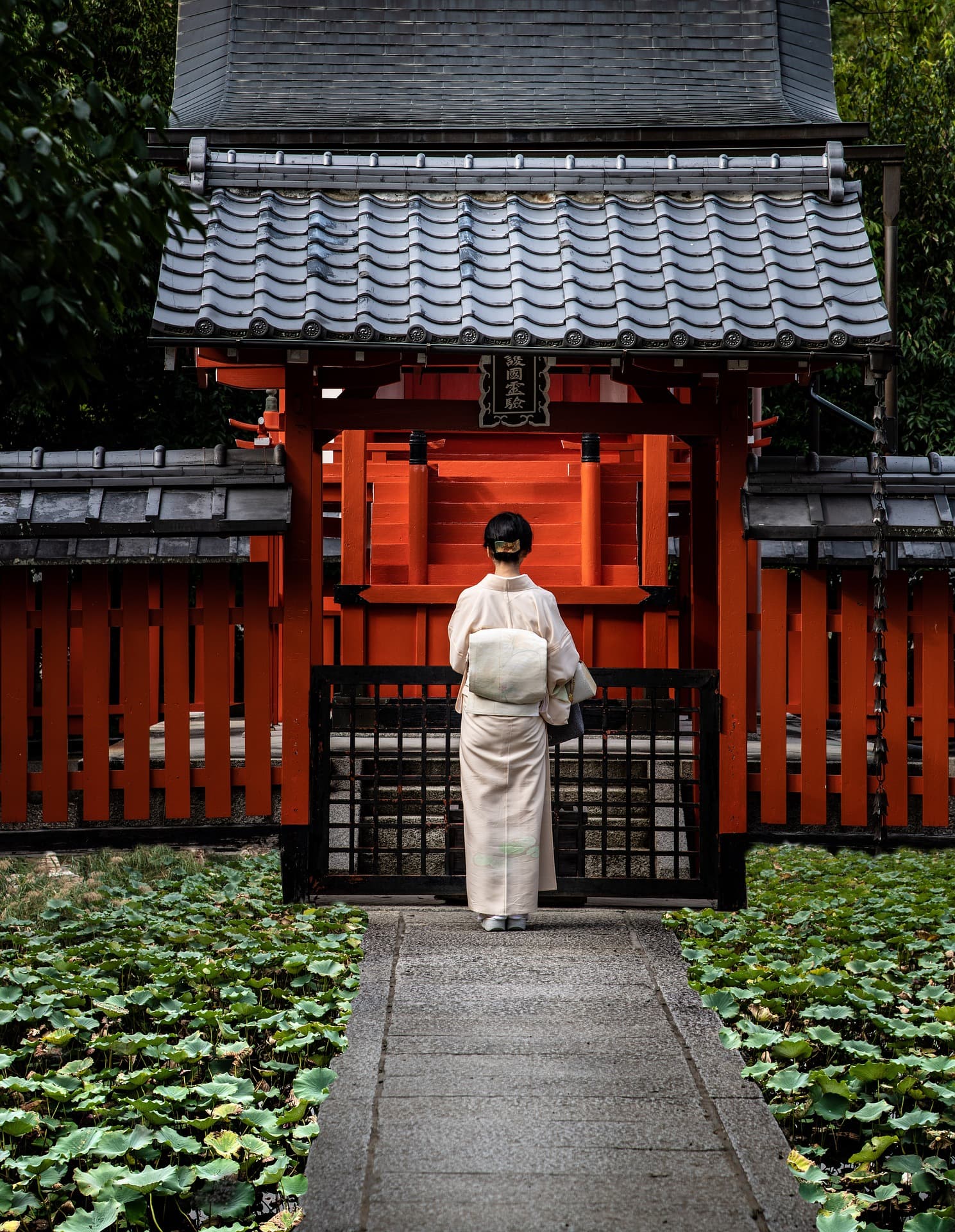 Umzug nach Japan