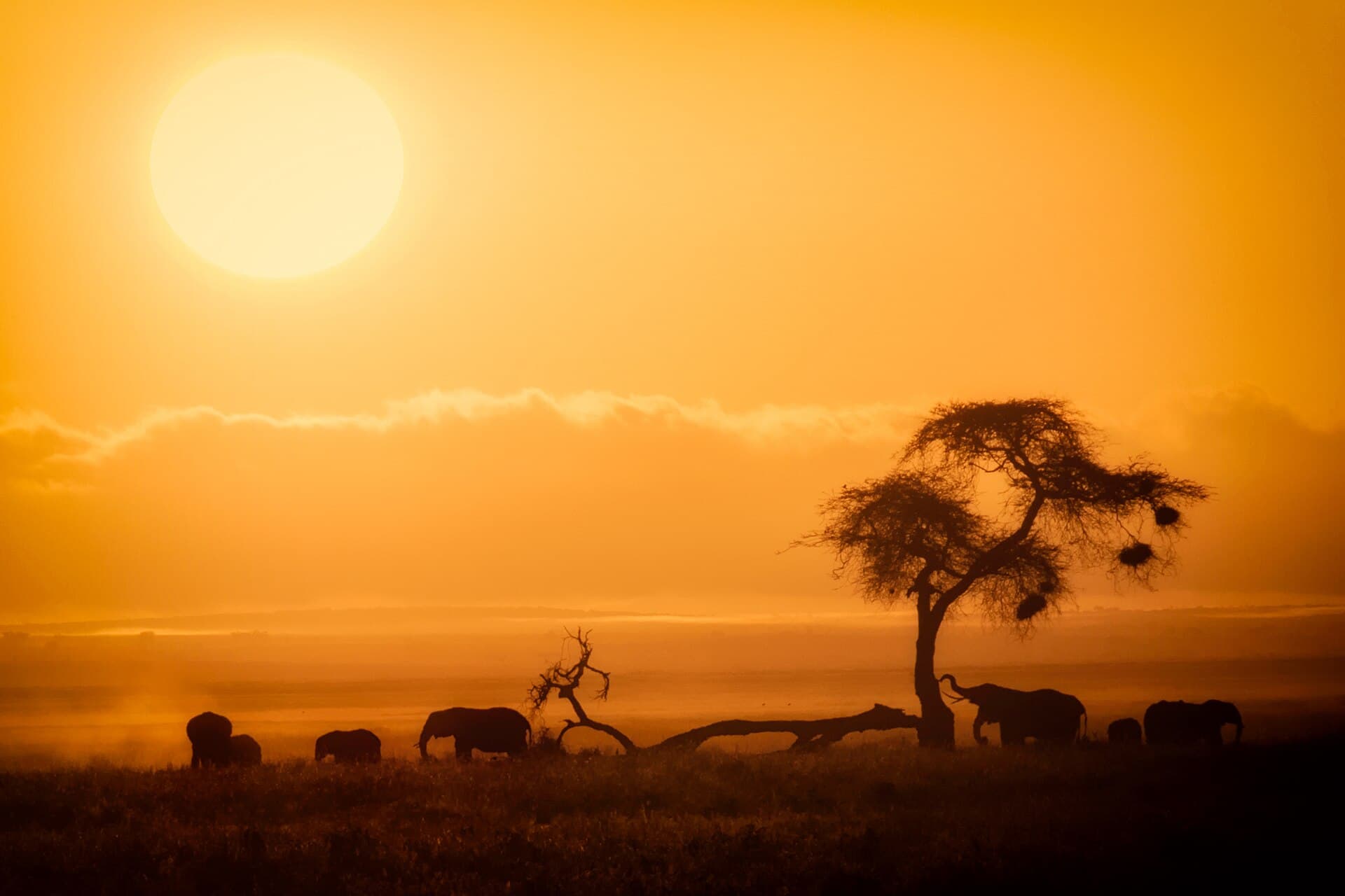 Umzug nach Kenia