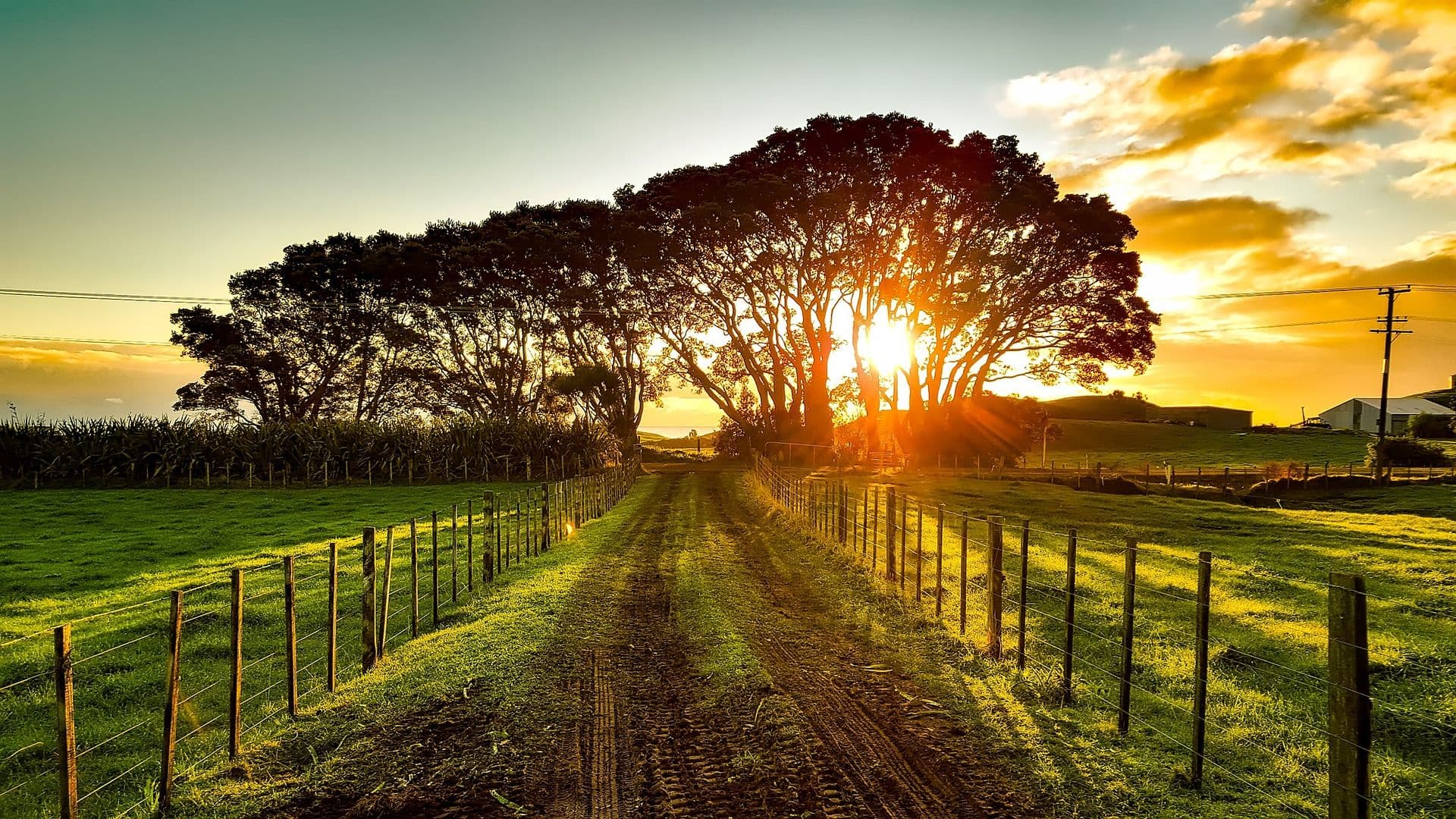 Umzug nach Christchurch, Neuseeland – Ihr Tor zur unberührten Natur!